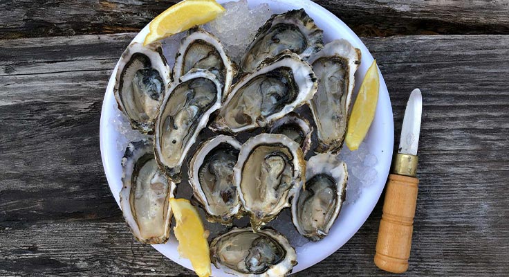 Hu&icirc;tres de Normandie