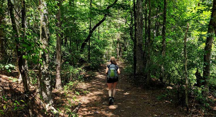 Randonn&eacute;e dans le Parc naturel r&eacute;gional du Cotentin