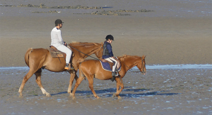 Balade &agrave; cheval dans le Cotentin au camping Le Cormoran