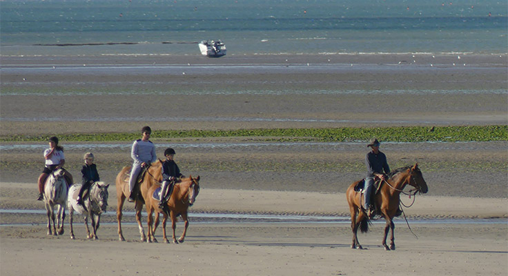 Balade &agrave; cheval &agrave; proximit&eacute; du camping Le Cormoran
