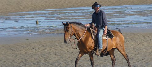 Balade à cheval dans le Cotentin