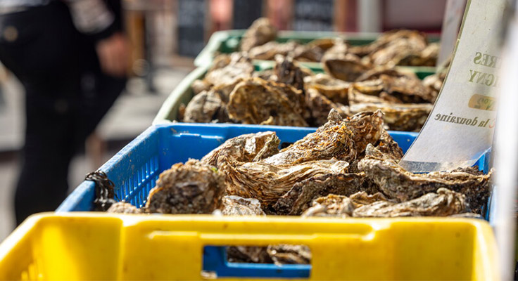 Hu&icirc;tres dans un march&eacute; en Normandie